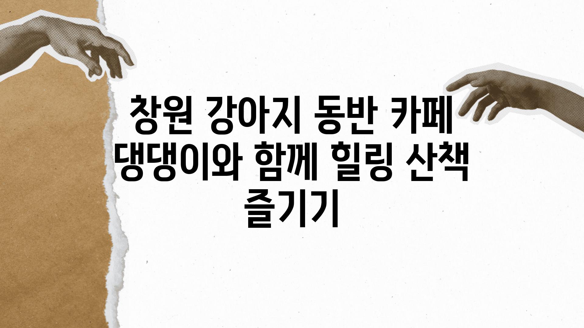 창원 강아지 동반 카페 댕댕이와 함께 힐링 산책 즐기기