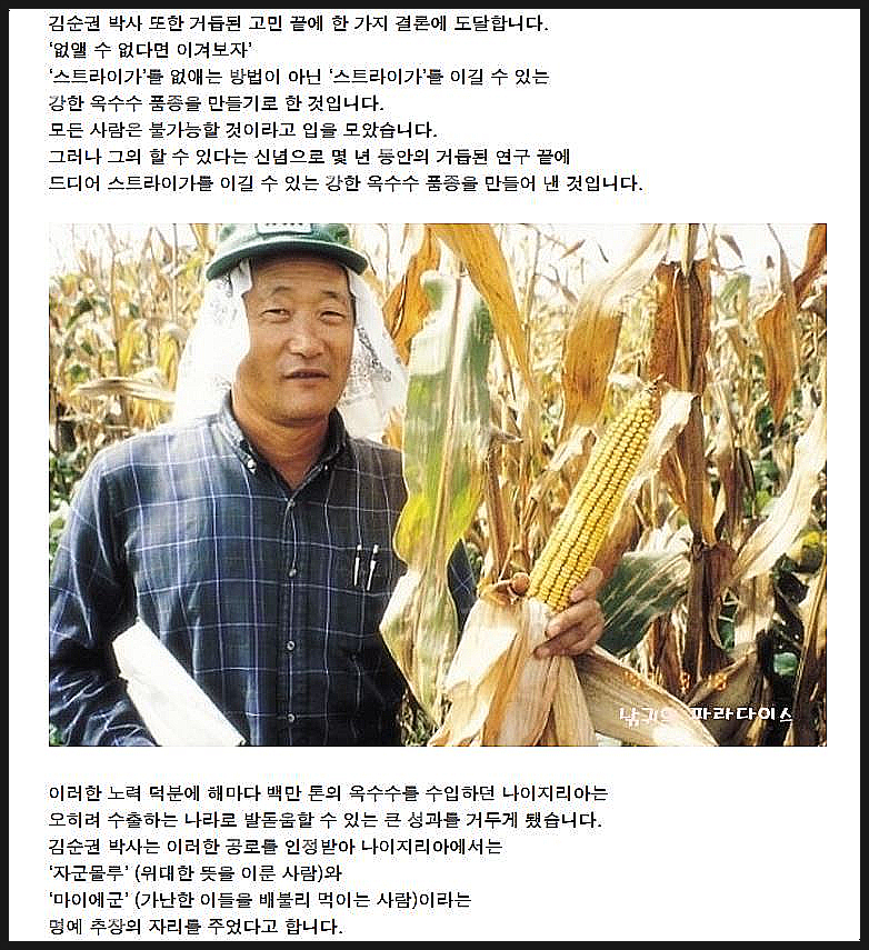 옥수수와 옥수수 가루 추억 // 손자에게 보내는 편지 (제375호) 37
