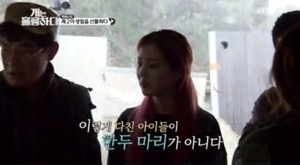  개는훌륭하다 강형욱 개농장 실태 분리 수거장 코코 트라우마 극복 방법 해결책 개 보호자 개념 몰라 이경규 이유비