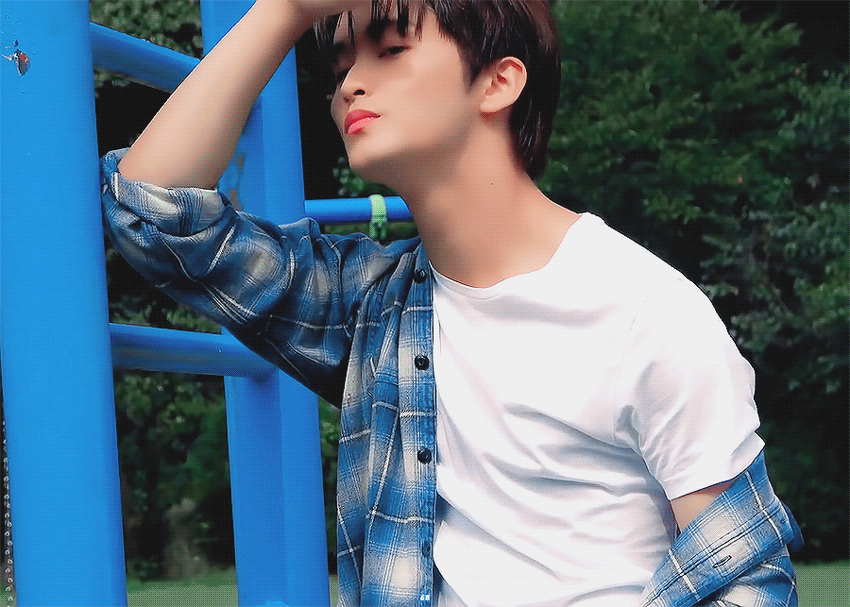 img.gif