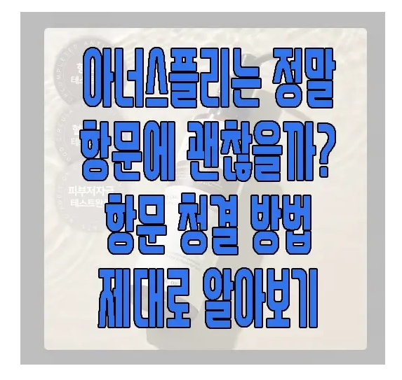 아너스플리에 관한 글 보러 가기 링크 사진