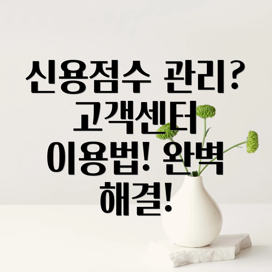 나이스신용정보 고객센터