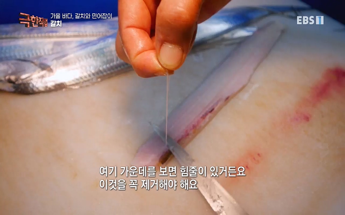 TV - 교육의 중심 EBS가을 바다, 갈치와 민어잡이.mp4_20220926_202232.240.jpg