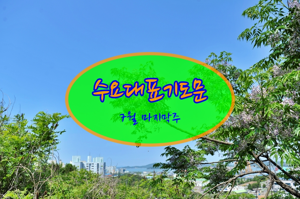  수요 대표 기도문 7월 마지막주