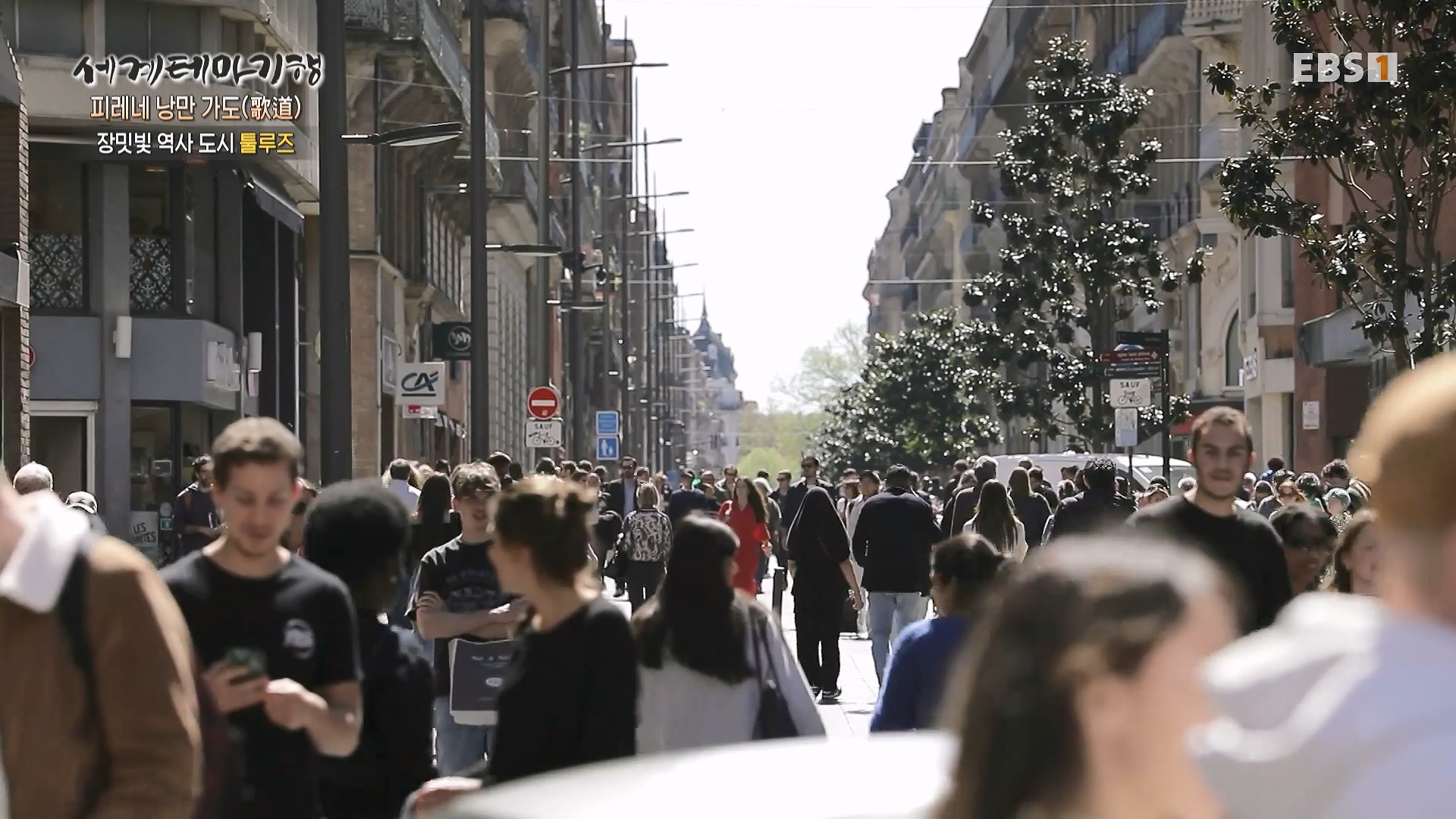 세계테마기행 231225 피레네 낭만 가도(歌道) -요정의 길을 따라, 비뉴말 트레킹0p.mp4_20240628_205001.635.jpg