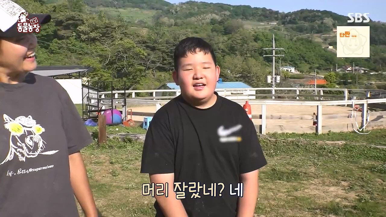 TV 동물농장.E1178.240630.ts_20240630_164639.123.jpg