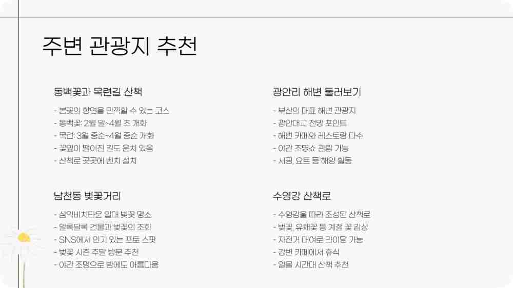 부산 남천동 벚꽃 개화상황 cctv 확인하기