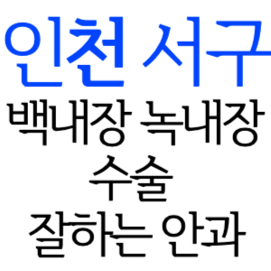 인천 서구 백내장 녹내장 수술잘하는곳 안과 병원 추천 5곳 후기 수술 가격 비용 비교 치료 증상 좋은음식 수술 후 주의사항 알아보기