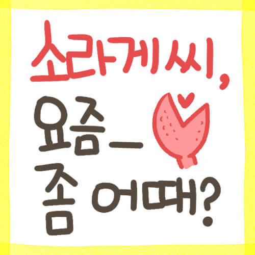  [소라게] 소라게씨, 요즘 좀 어때?
