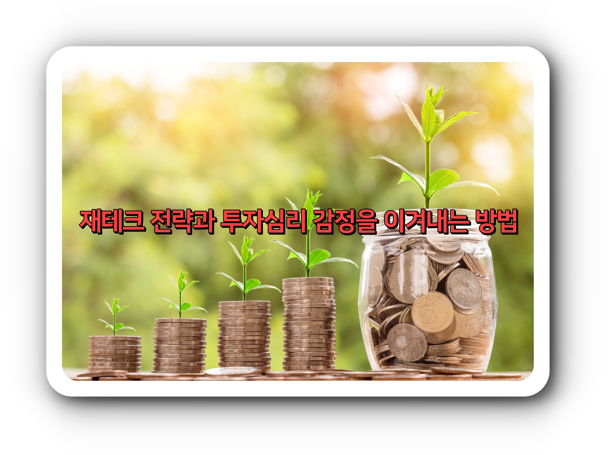  재테크 전략과 투자심리: 감정을 이겨내는 방법