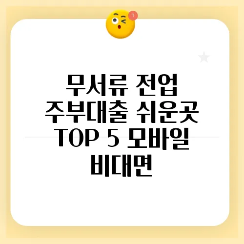 무서류 전업 주부대출 쉬운곳 TOP 5 모바일 비대면