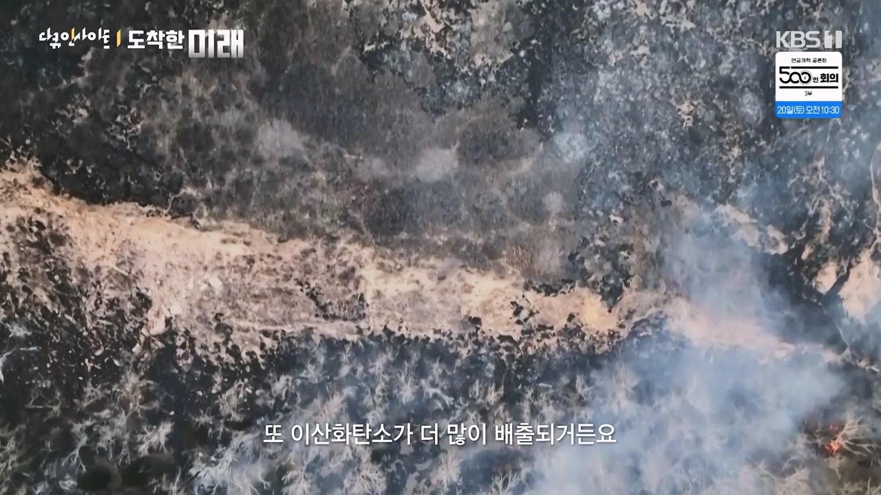 다큐 인사이트.E185.240419p-NEXT.mp4_20240420_161118.371.jpg