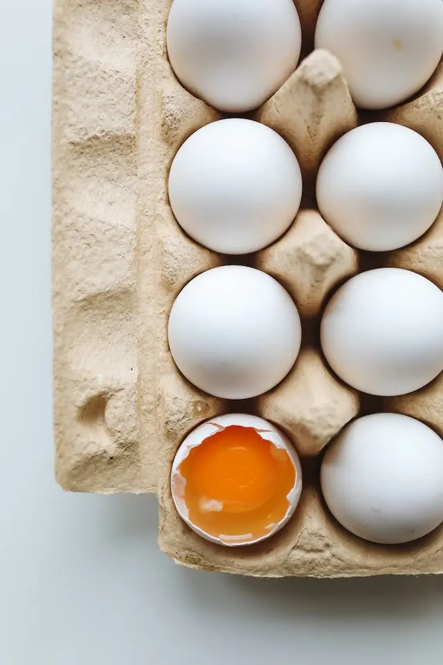 단백질의 대표인 달걀