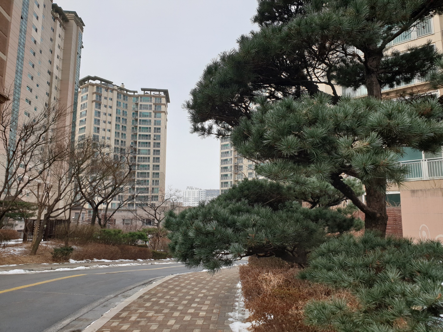  아파트 차량대수마다 다른 주차비, 주차장 요금
