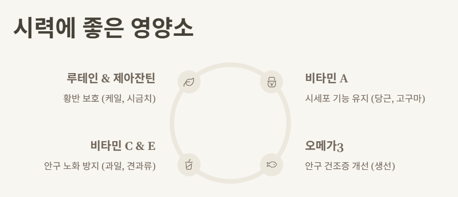 시력에 좋은 영양소 이미지
