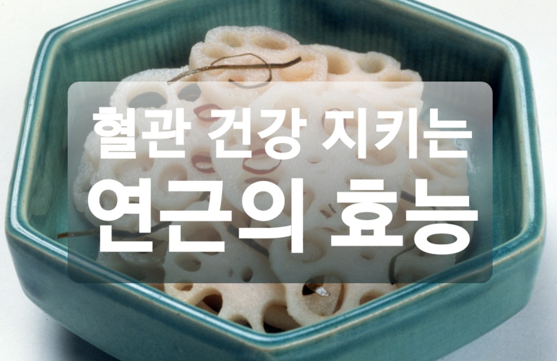  혈관 건강에 좋은 연근의 효능 5가지와 부작용