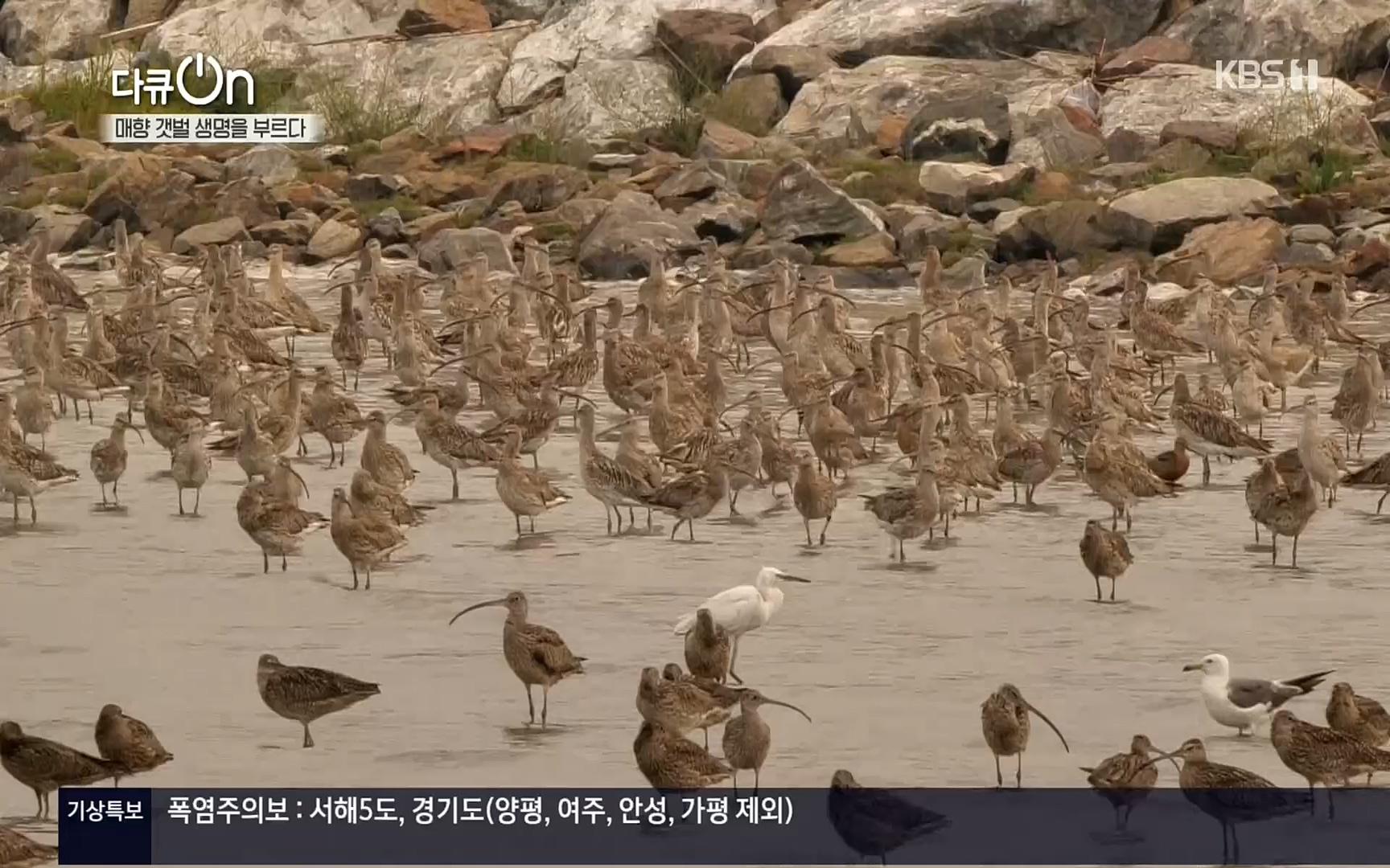 다큐 On.E151.220805p.H264-F1RST.mp4_20220806_193417.045.jpg