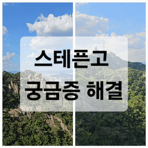 스테픈고 stepn go