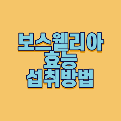  보스웰리아 효능과 섭취방법 및 주의사항