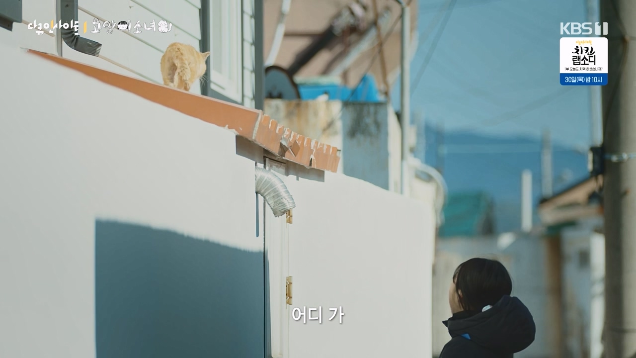 다큐 인사이트.E189.240524p-NEXT.mp4_20240524_205105.339.jpg