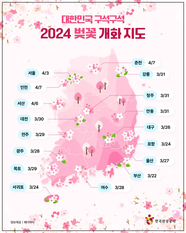 전국 벚꽃이 피는 시기를 날자별로 적어 놓은 대한민국 지도