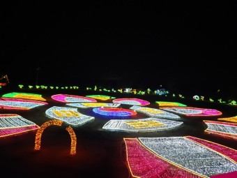 태안 빛 축제