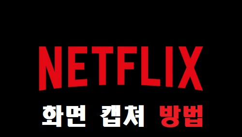 크롬 넷플릭스 화면 캡쳐하기 + 자막포함 / 크롬 확장프로그램 추천