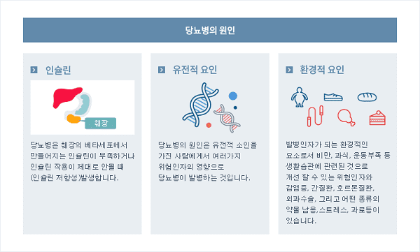 당뇨병의 원인