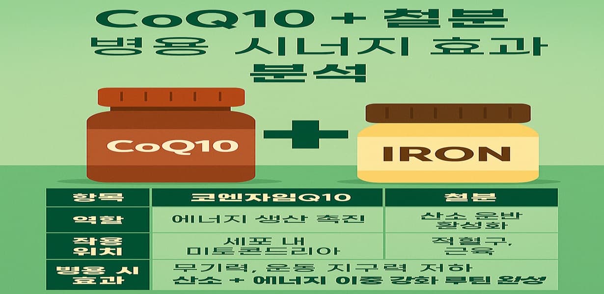 “코엔자임Q10과 철분 보충제가 함께 배치되고, 산소 운반과 에너지 생성 기능이 결합된 시너지 인포그래픽”