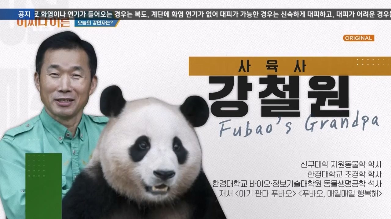 어쩌다 어른.E41.240131p-NEXT.mp4_20240201_200226.012.jpg