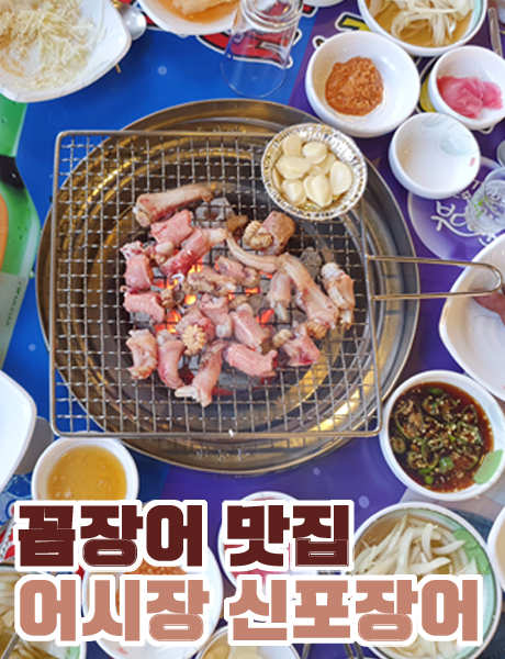  바닷바람 맞으며 먹는 마산 어시장 신포장어/꼼장어