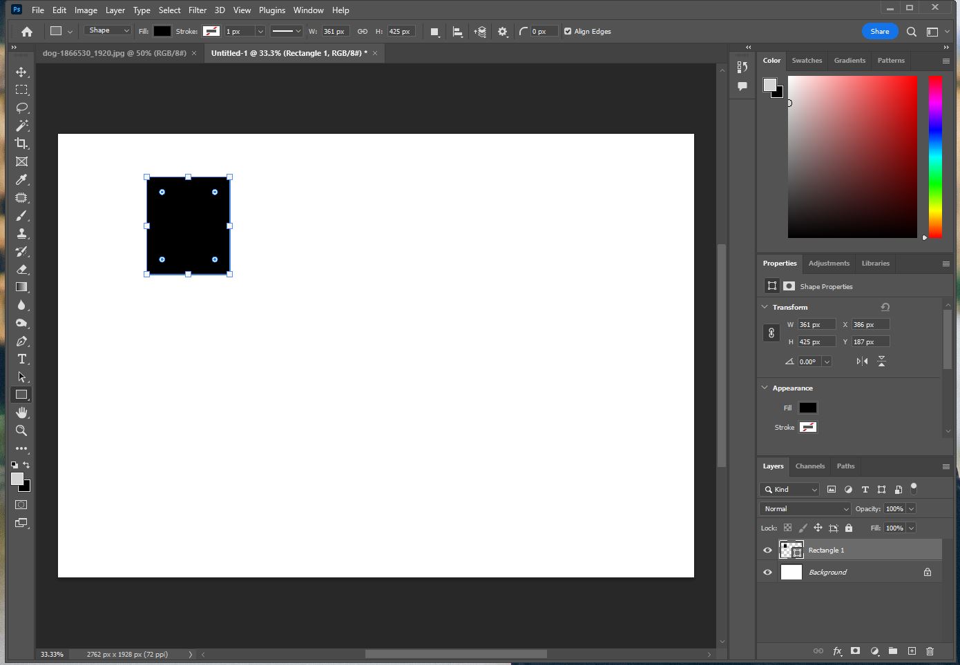 Rectangle Tool 사용한 사진