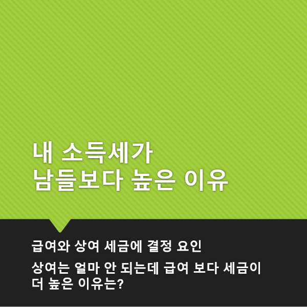 내 소득세가 남들보다 높은 이유