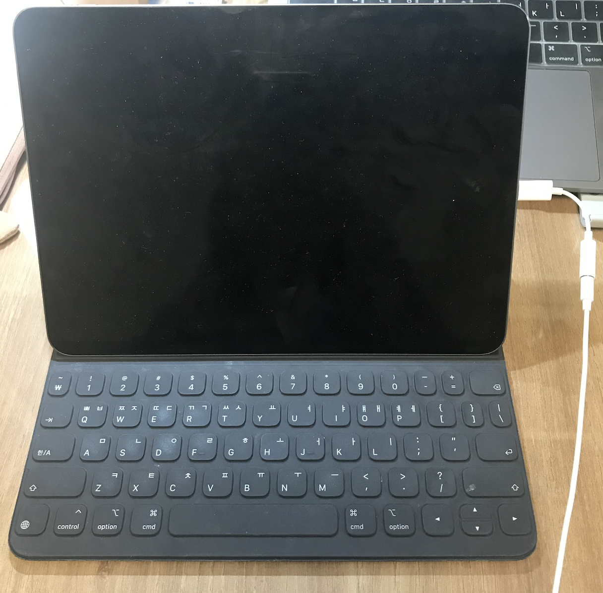 아이패드 프로3 이어폰 쓰려면?(ft. usb C 타입 to 3.5mm 이어폰 젠더 정품)