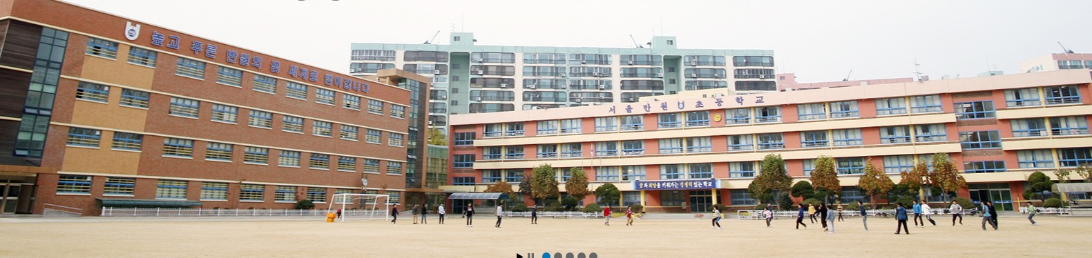 서울 초등학교 순위
