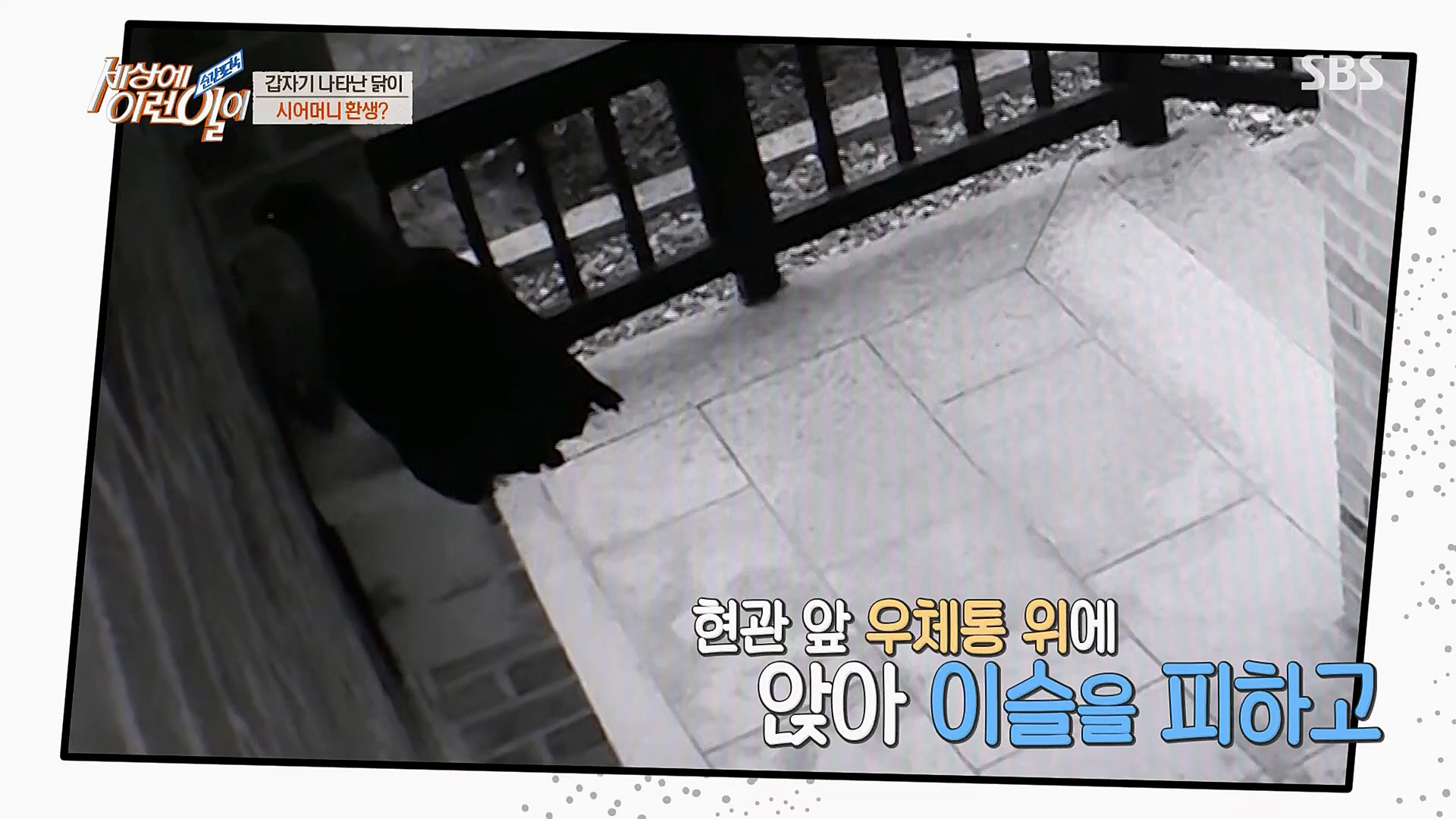 순간포착 세상에 이런일이.E1222.230321p.H264-F1RST..mp4_20230322_200956.931.jpg