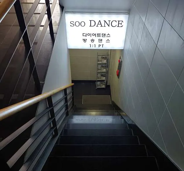 수댄스