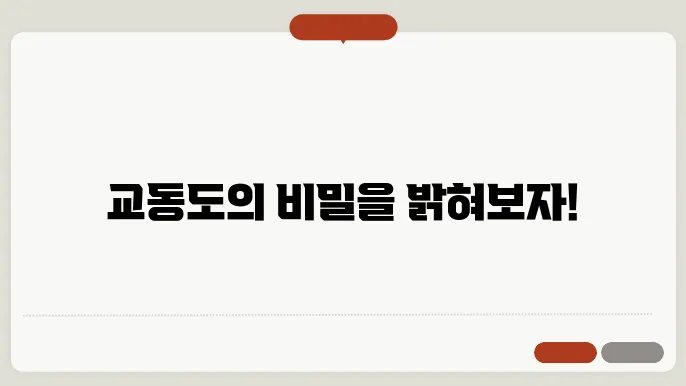 교동도 가볼만한 곳 숨은 명소와 9db집 추천 여행 가이드