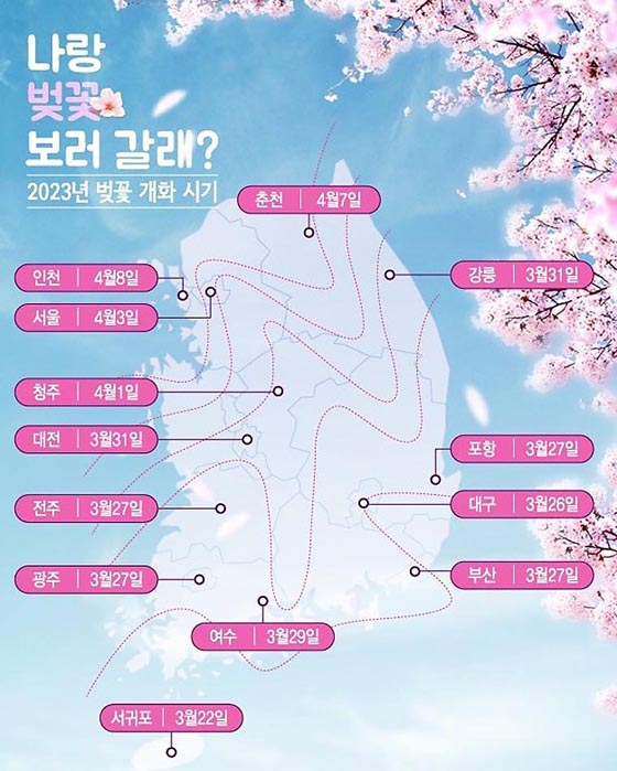 2023-벚꽃-개화시기-봄꽃-축제-일정