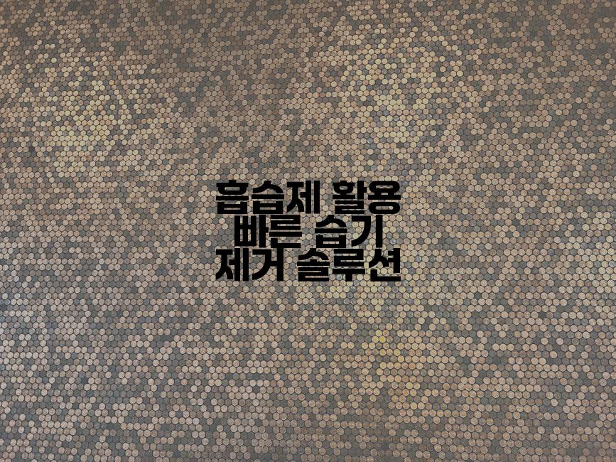 흡습제 활용 빠른 습기 제거 솔루션