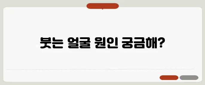 얼굴이 붓는 이유 갑상선·신장 문제도 의심