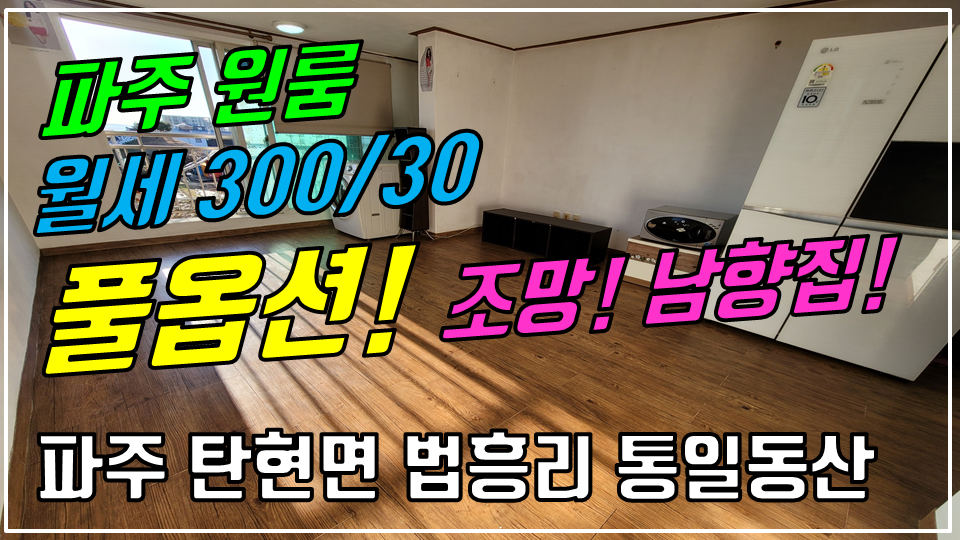  파주 탄현면 법흥리 원룸 월세 300/30만 풀옵션 조망좋고 채광 좋은 남향집 1층 넓은 원룸, 통일동산 헤이리 원룸 임대