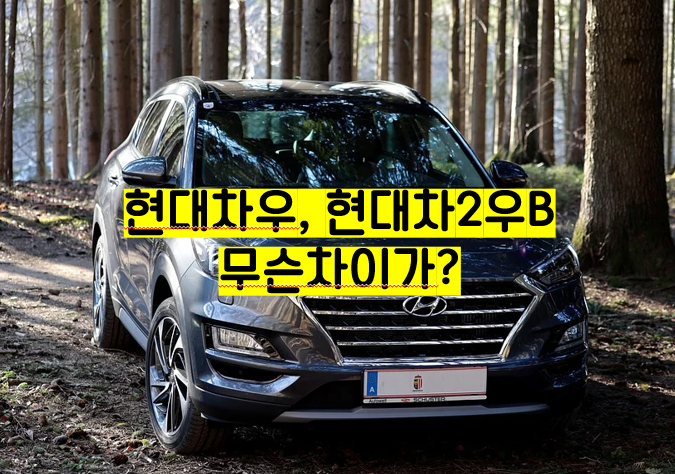  현대차우, 현대차2우B 무슨차이? 배당금은?
