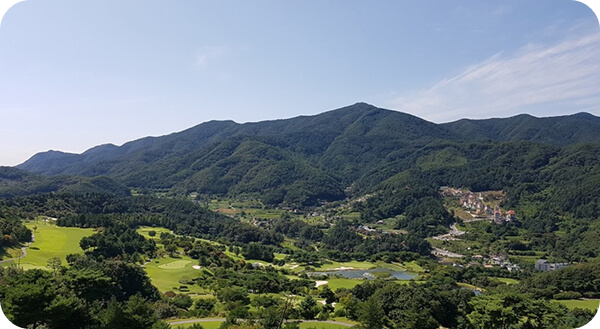 전경4