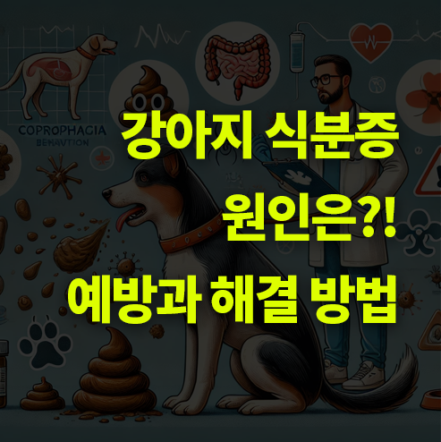 강아지 식분증 원인은?