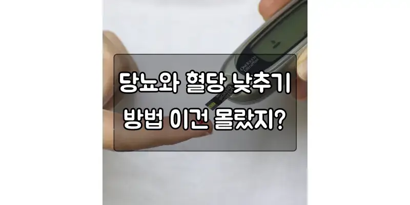  당뇨와 혈당 낮추기