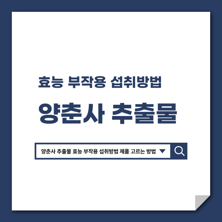 양춘사_추출물_효능_부작용_섭취방법_제품_고르는_방법