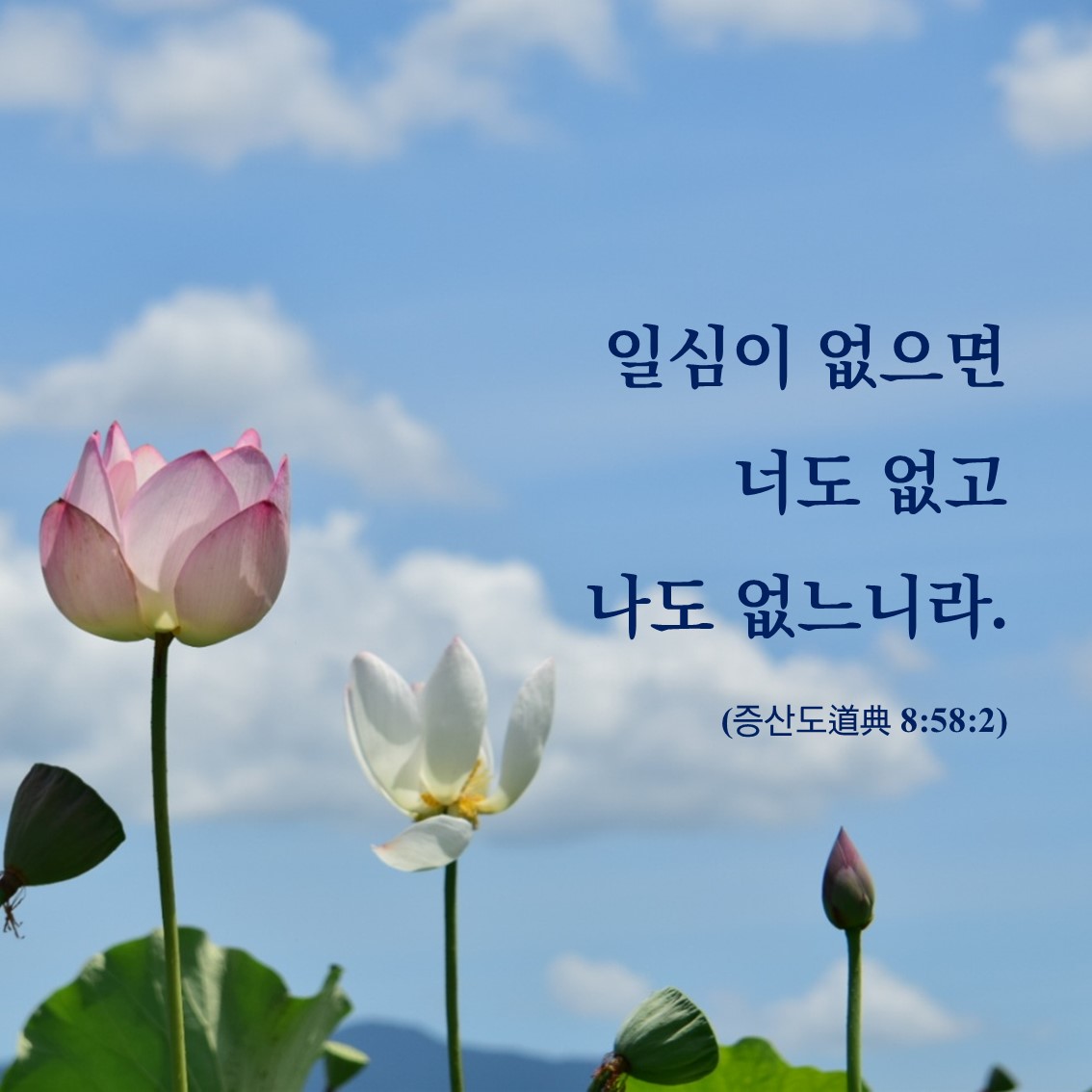 일심 이미지