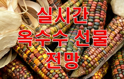  옥수수 선물 가격 전망 실시간 확인!!!