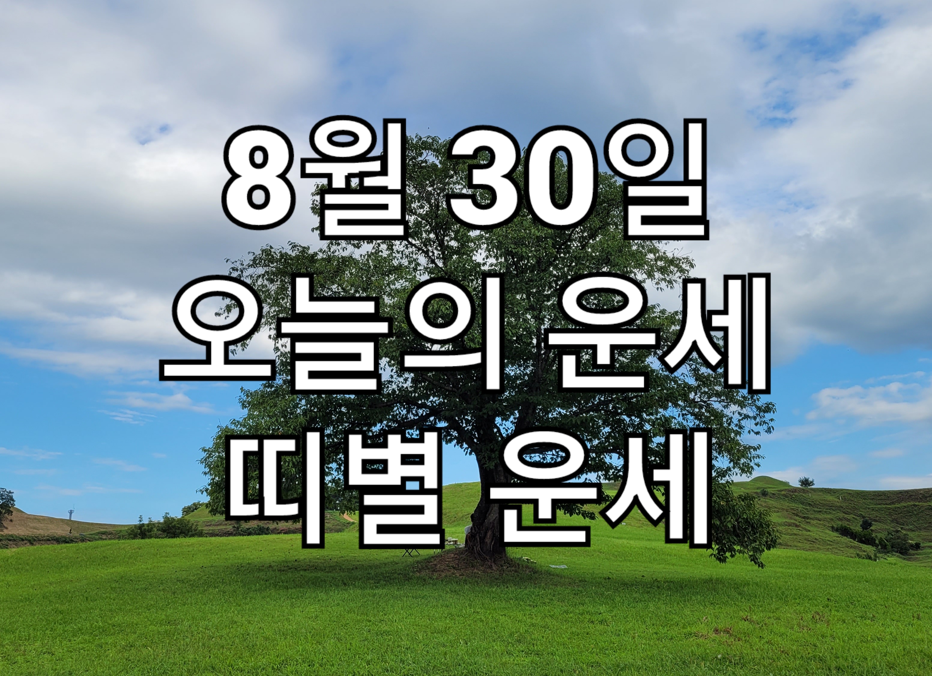  8월 30일 오늘의 운세, 띠별 운세